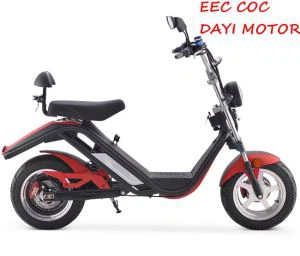 2100W Citycoco a Road Legal Dirve készülékkel